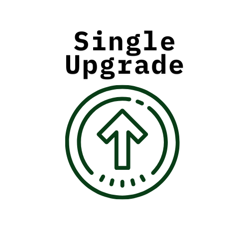 Single Upgrade to Premium Assessment